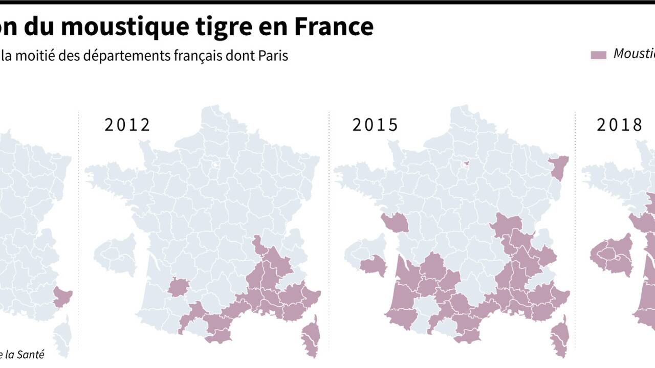 Le moustique tigre gagne Paris et plus de la moitié du territoire