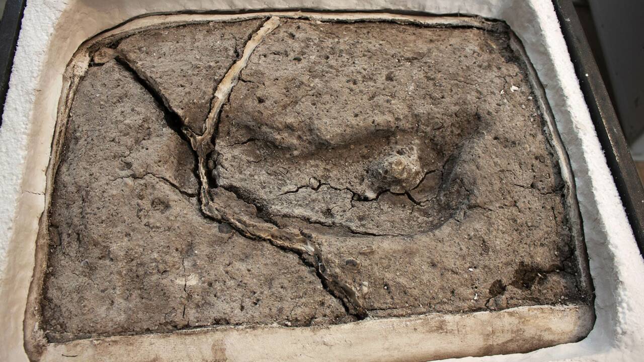 Au Chili, des archéologues découvrent la plus vieille empreinte humaine des Amériques
