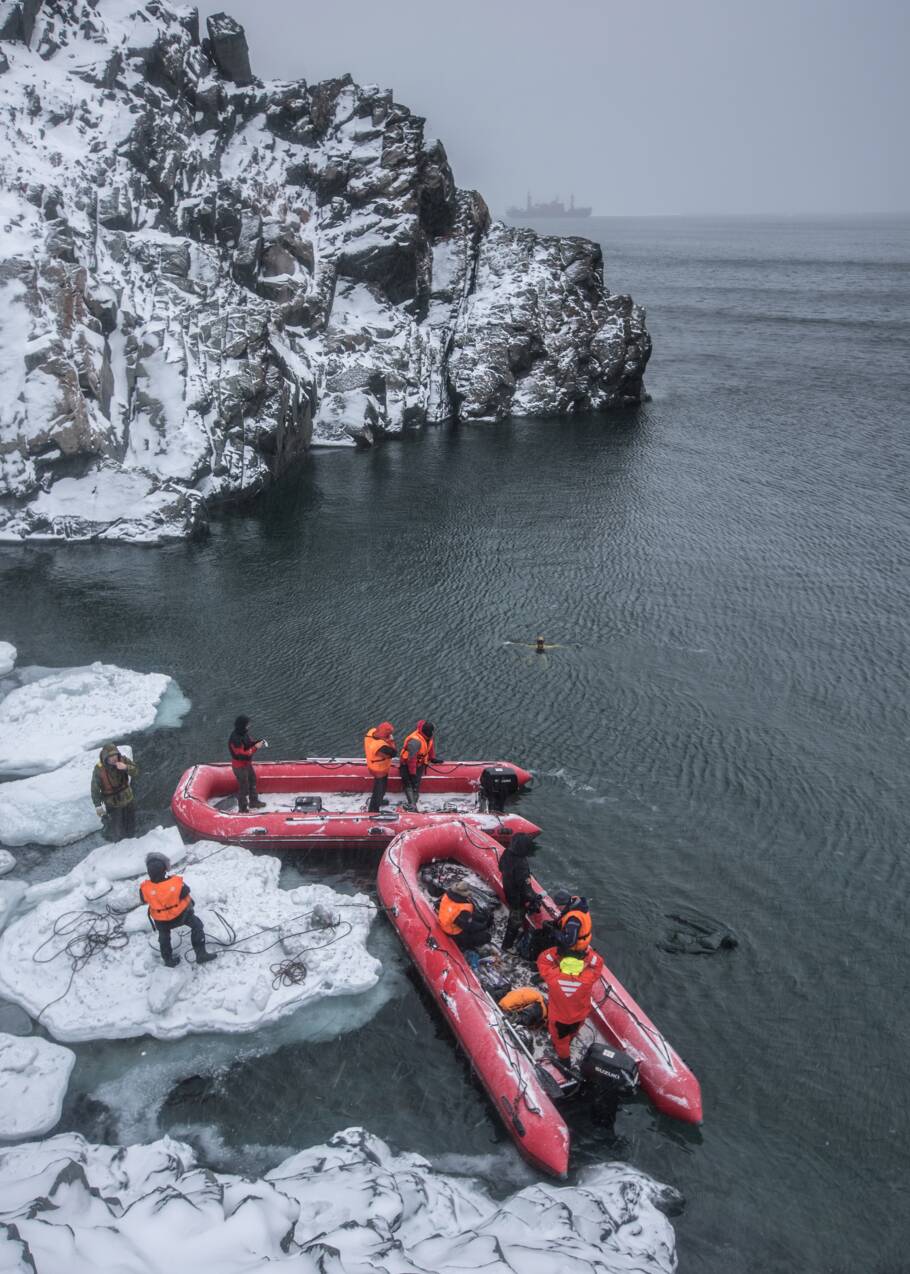 Aurore Asso, apnéiste sous glace : "J'ai plongé dans le sillage d'un explorateur de l'Arctique"