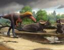 Un "mini" tyrannosaure découvert aux Etats-Unis éclaire l'origine de ces dinosaures