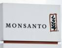 Fichiers Monsanto: Bayer n'avait "pas connaissance" de ces documents