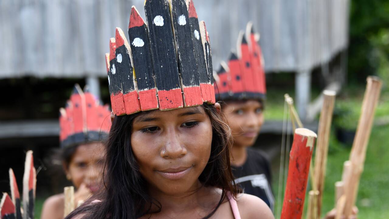 Au Brésil, la réserve Mamiraua, modèle de développement durable en Amazonie