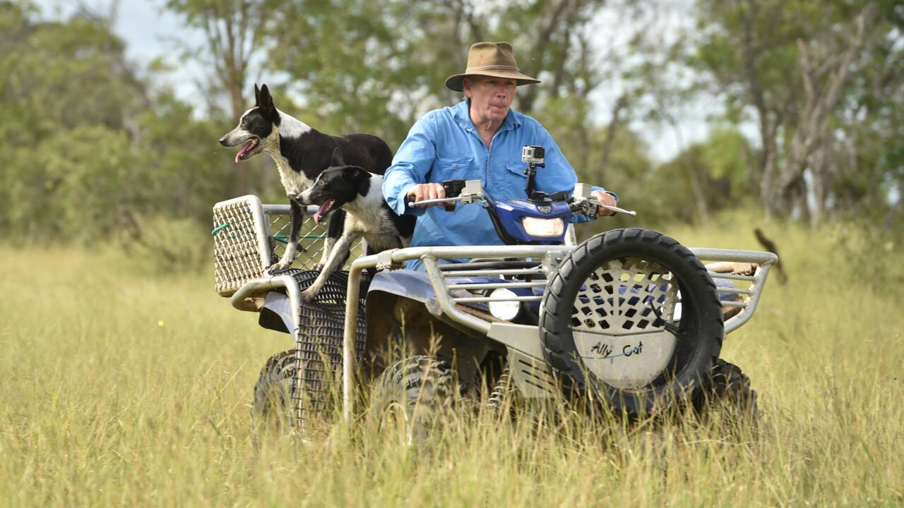 Australie: des fermiers du Queensland à la pointe du combat climatique