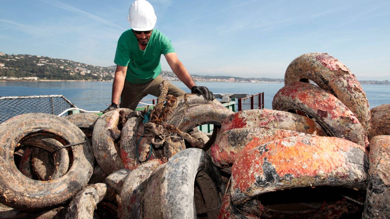 A Cannes, la fin d'un faux récif de vieux pneus, une hérésie environnementale