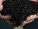 Enterrement alternatif : le "compost humain" légalisé dans un Etat américain