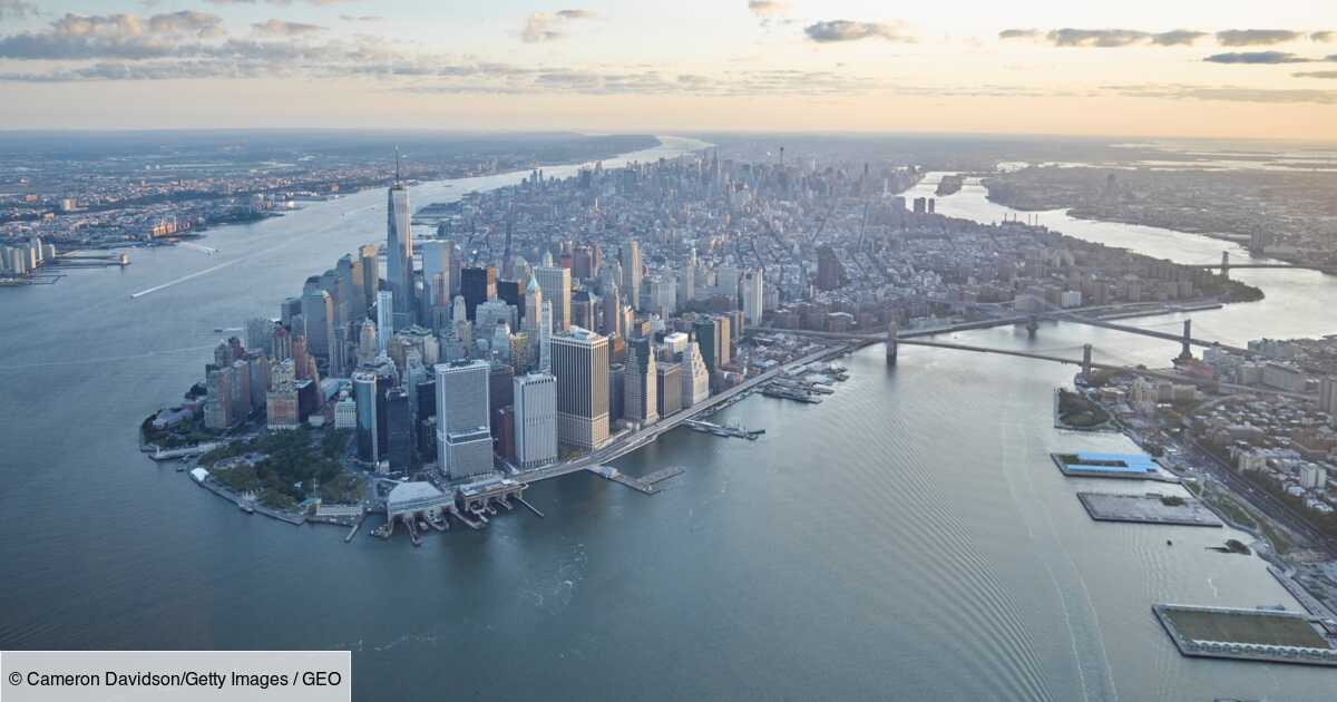 In New York, a billion oysters reintroduced to restore the bay’s ecosystem