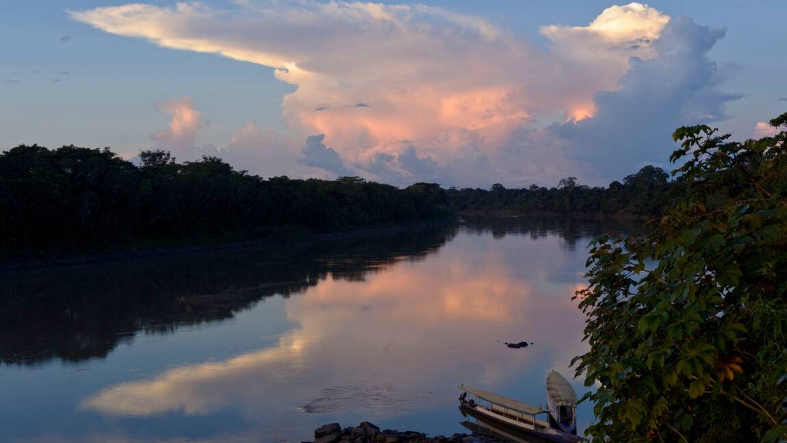 Victoire du géant Amazon contre le fleuve Amazone