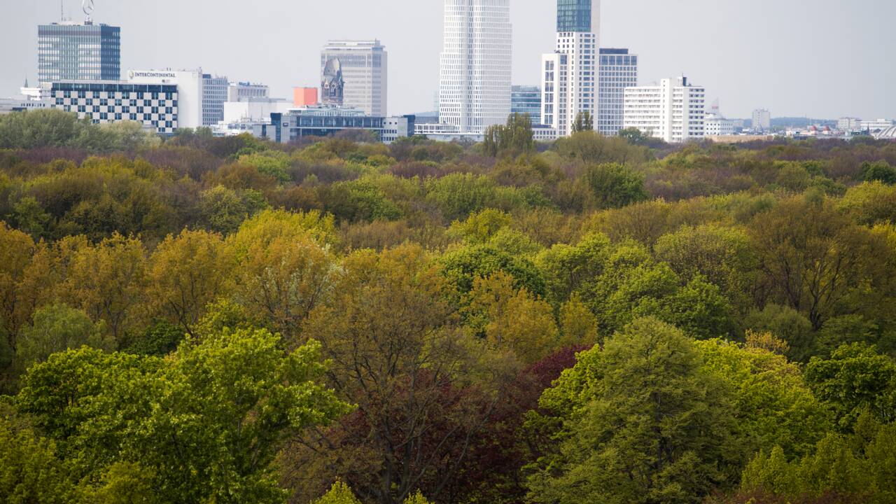 La nature berlinoise, refuge des rossignols fuyant l'urbanisation