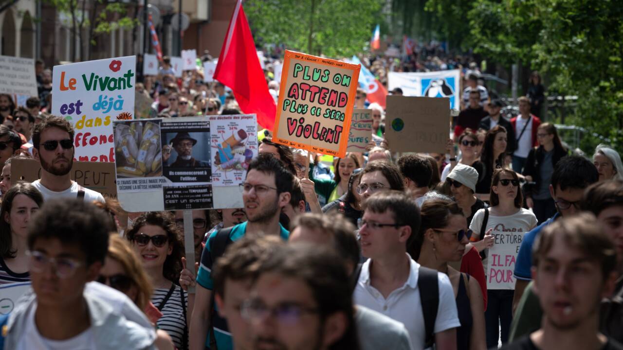 Climat: quelques centaines de personnes manifestent en France avant les élections