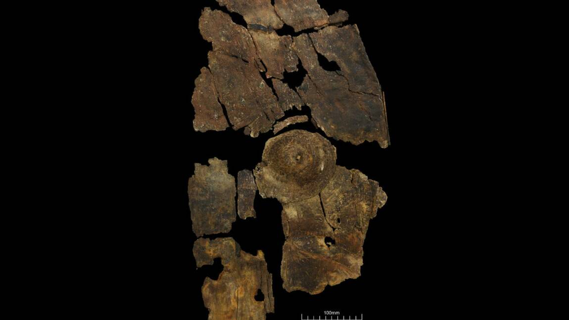En Angleterre, des archéologues découvrent le premier bouclier de l'âge du fer fabriqué avec de l'écorce
