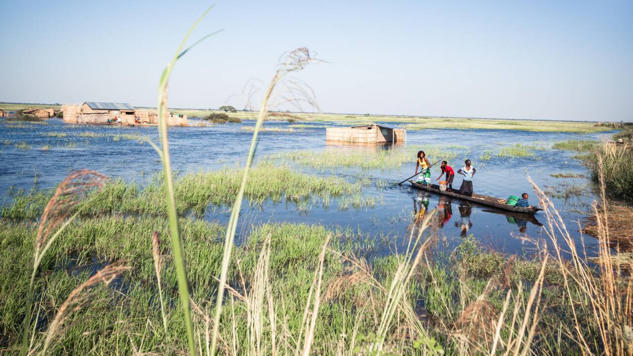 Le fleuve Zambèze, cœur sauvage de l’Afrique