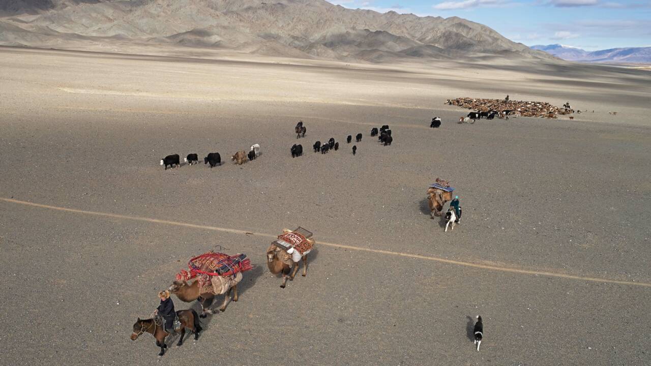 En pleine steppe mongole, nous avons suivi une famille nomade pendant la transhumance