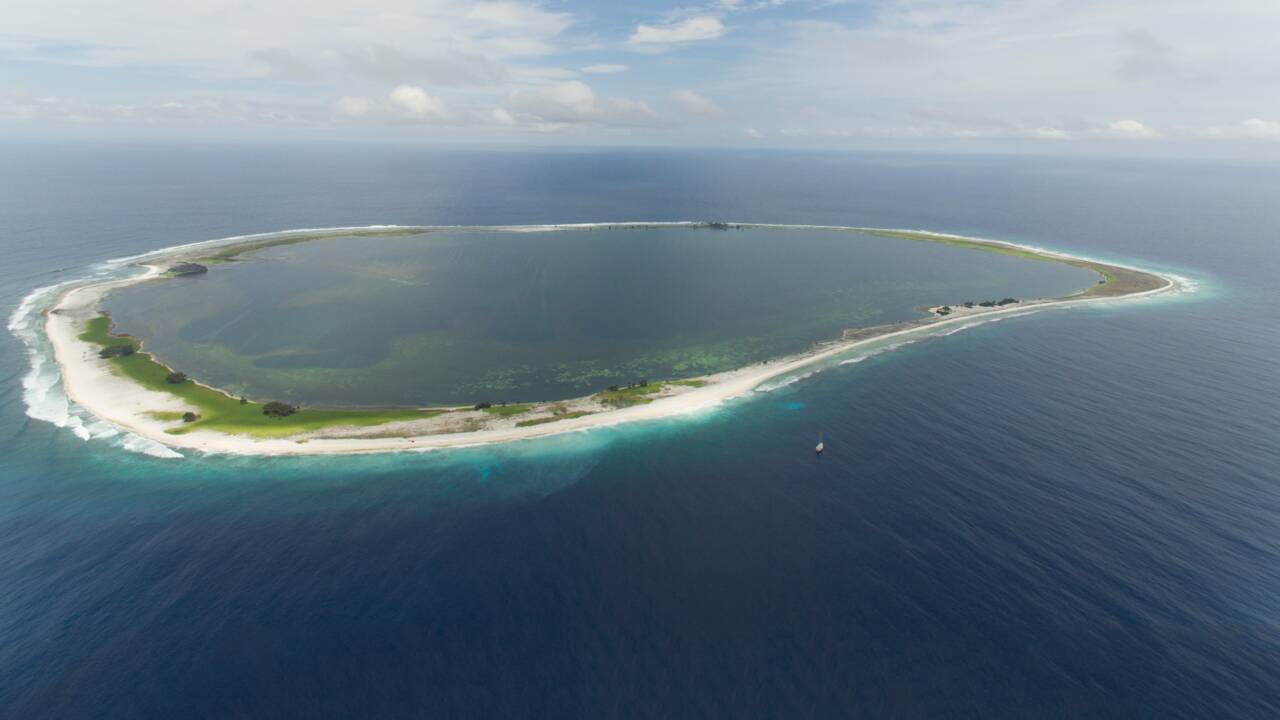Escale à Clipperton, l’atoll le plus isolé du monde