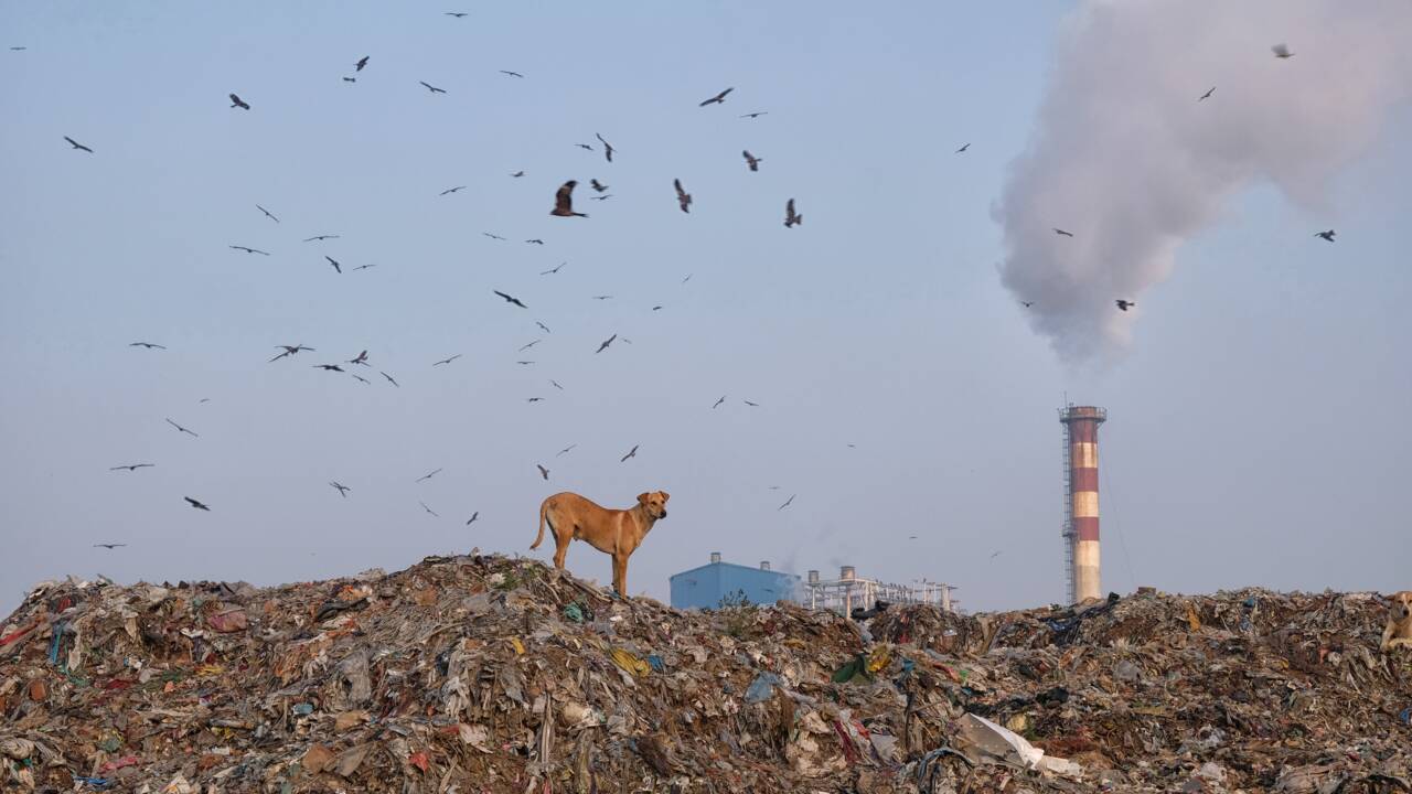 À New Delhi, une montagne de déchets haute comme le Taj Mahal