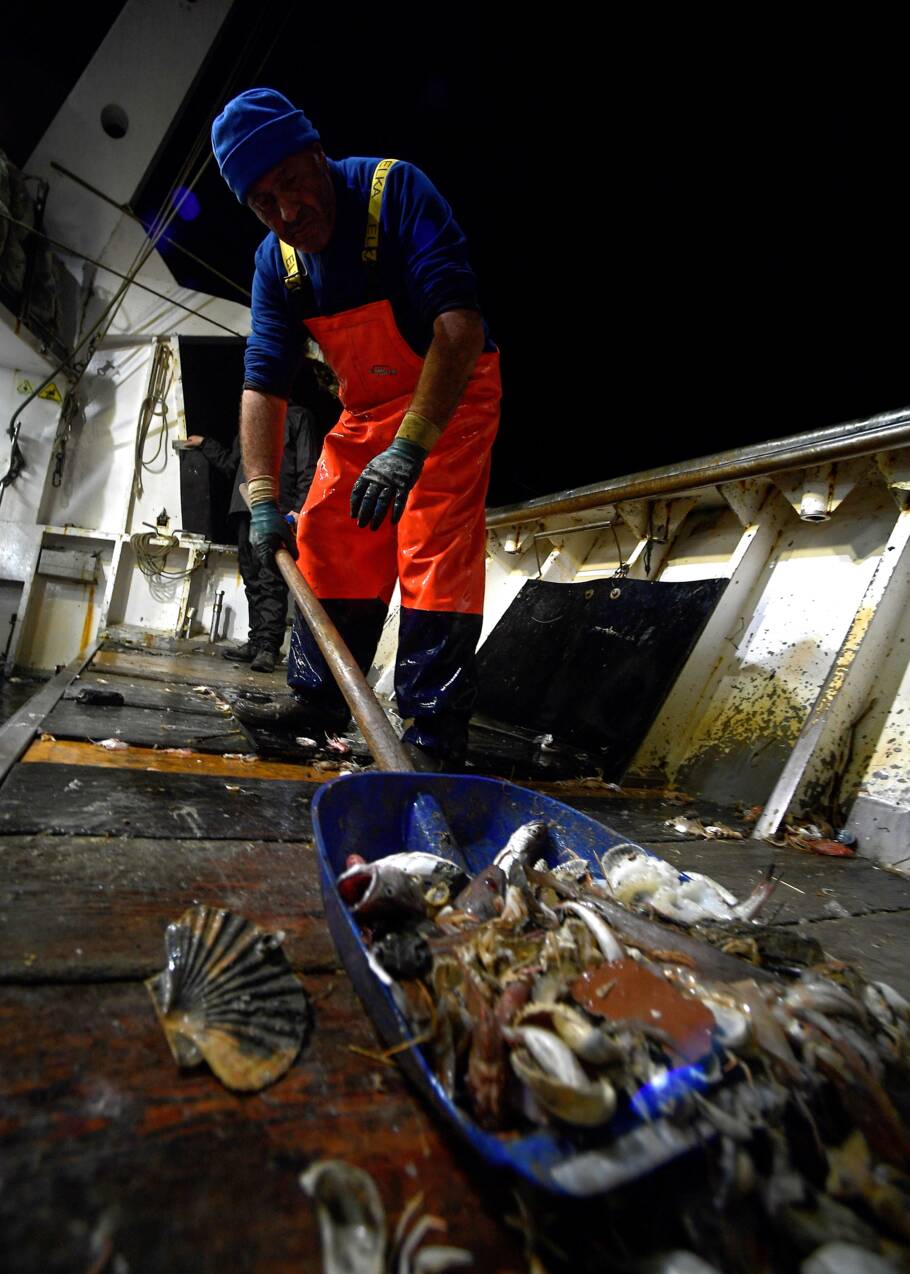Au large de l'Italie, la pêche au plastique dans l'Adriatique