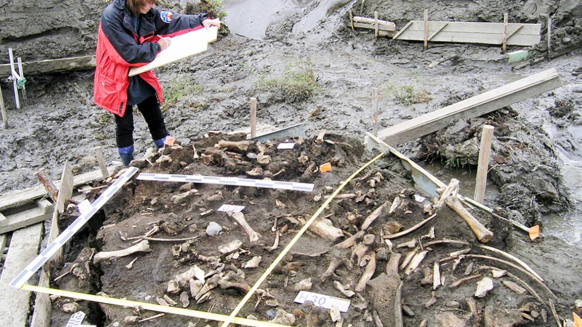 En Sibérie, des dents vieilles de 30000 ans révèlent l'existence d'une population humaine inconnue