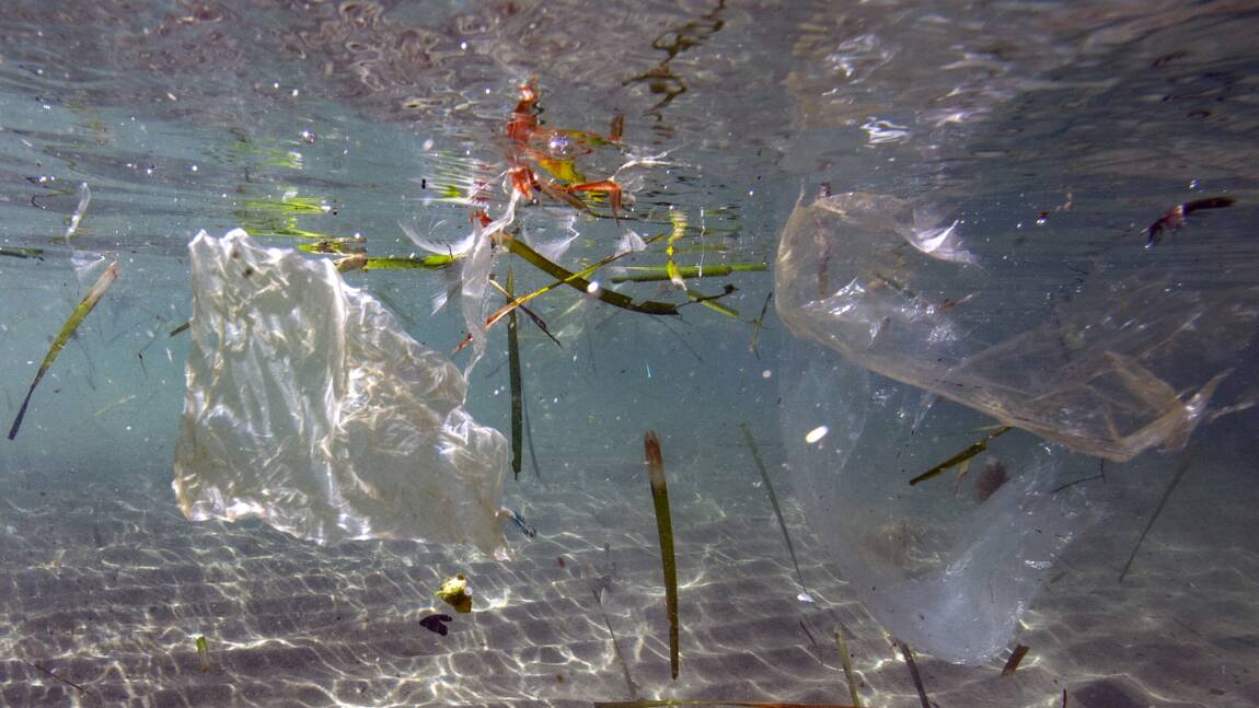 5 grammes de plastique ingérés par semaine: le gouvernement saisit l'Anses