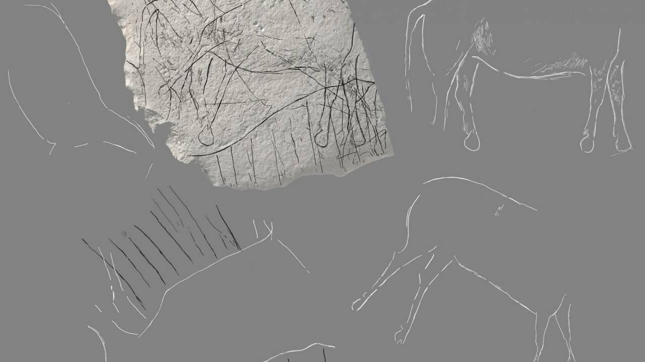 Des fouilles révèlent des gravures "exceptionnelles" vieilles de 14000 ans à Angoulême
