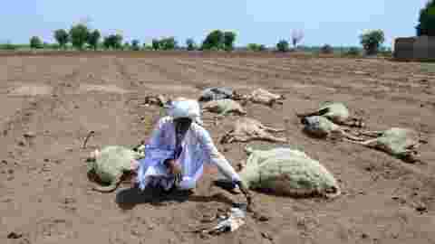 Chaleur extrême: près de 50 morts dans le nord de l'Inde