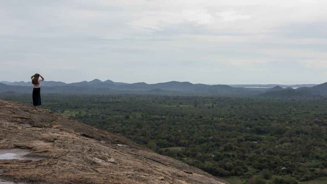 Le Sri Lanka va interdire les tronçonneuses pour protéger ses forêts