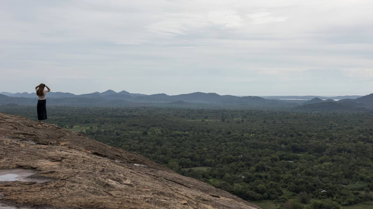 Le Sri Lanka va interdire les tronçonneuses pour protéger ses forêts