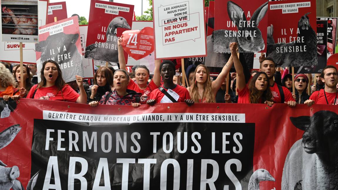 "Fermons les abattoirs!": défilé à Paris contre la maltraitance animale