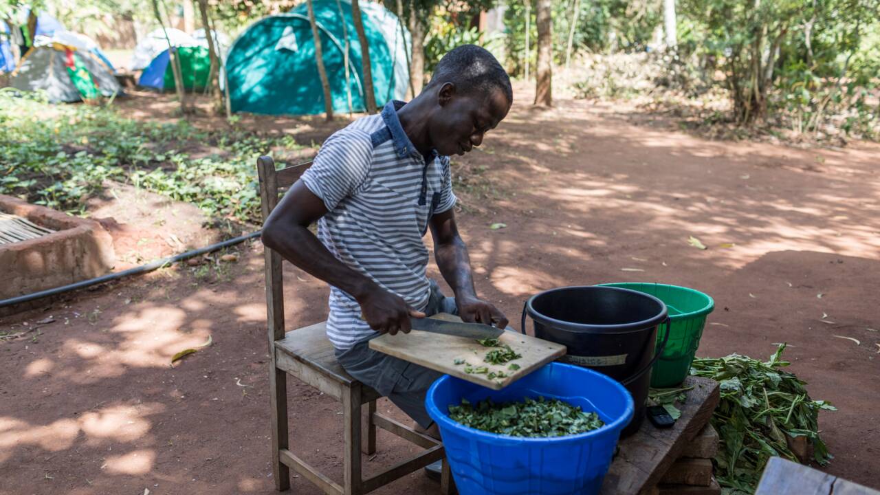 Au Bénin, immersion dans un camp d'entraînement intensif à l'agriculture bio