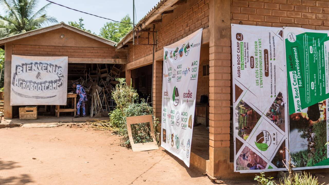 Au Bénin, immersion dans un camp d'entraînement intensif à l'agriculture bio