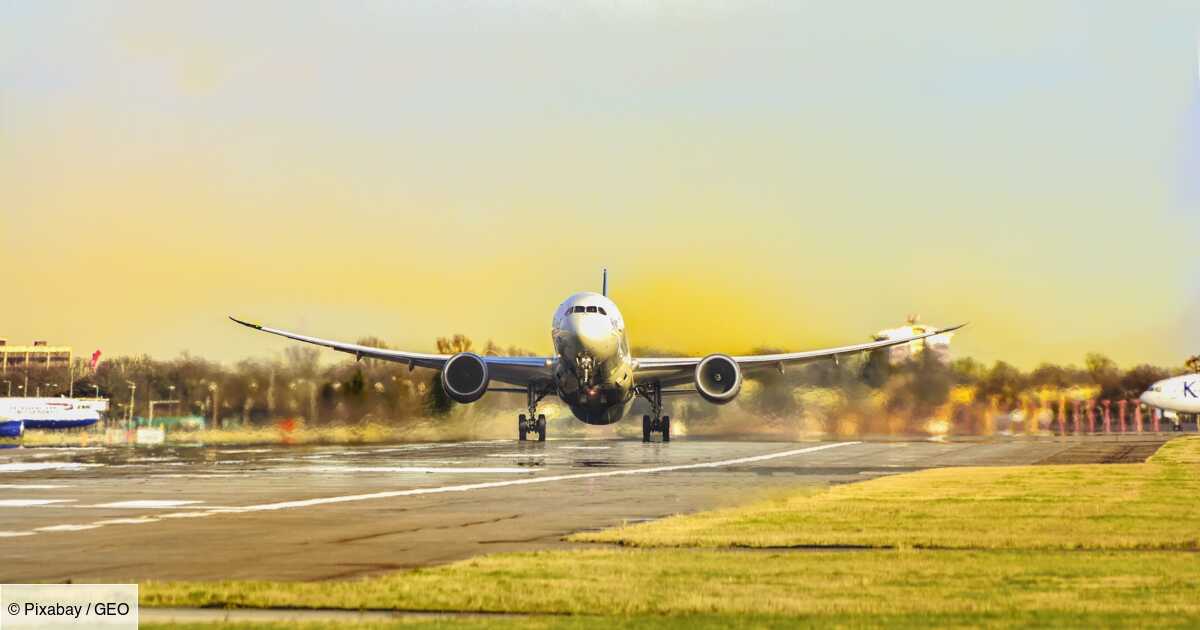 Distance Entre Paris Et La Corse En Avion Planter des arbres contre un trajet en avion : la compensation carbone