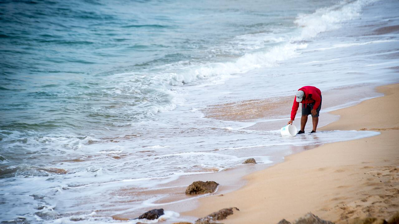 Au Maroc, le littoral menacé par les "mafias du sable"