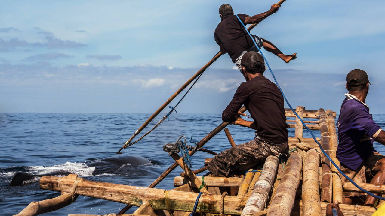 site de rencontre chasseur