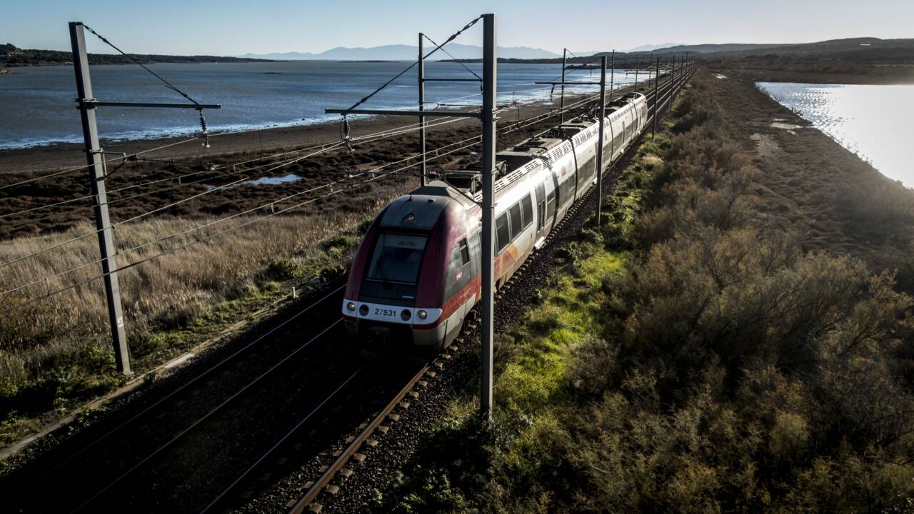 La SNCF s'engage à abandonner le glyphosate d'ici à 2021