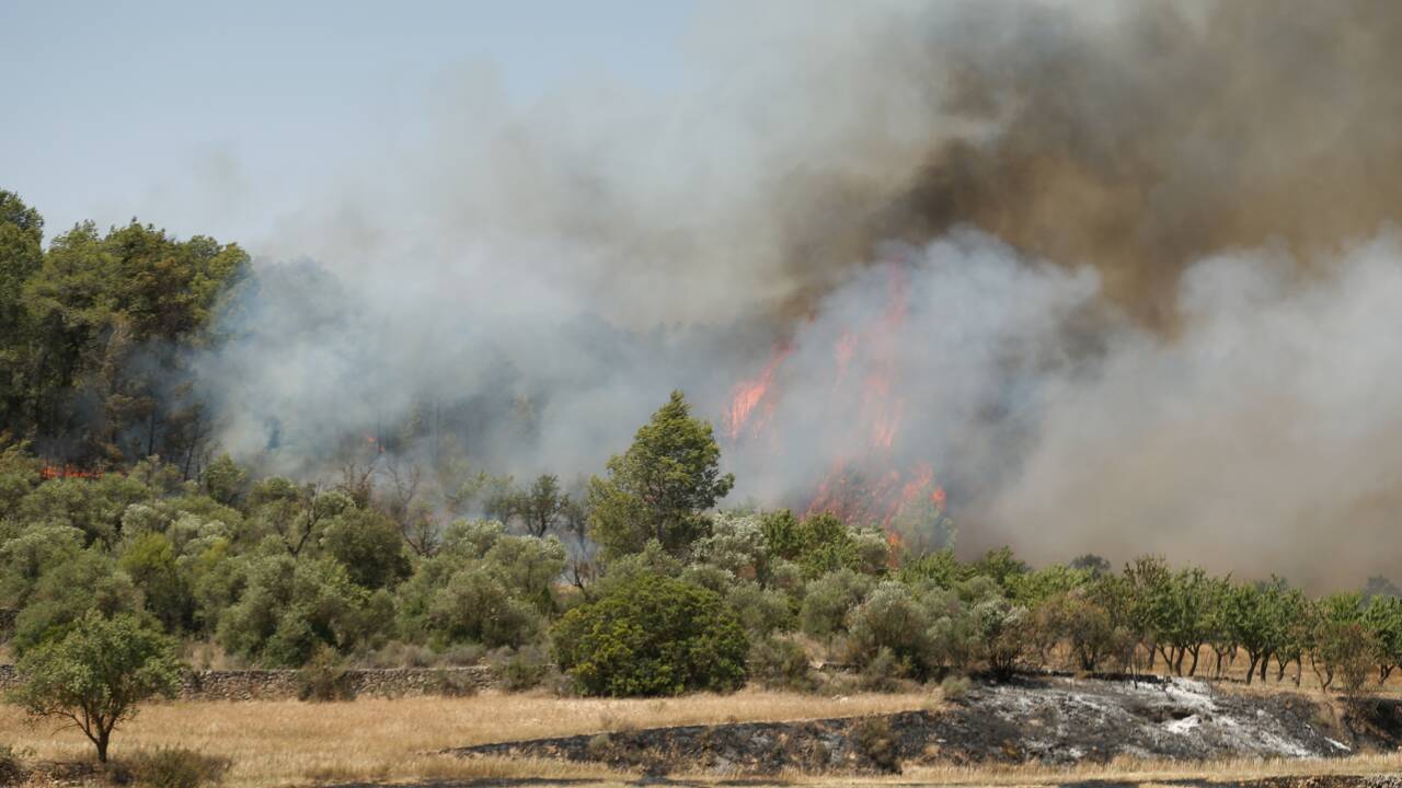 Un incendie hors de contrôle en Catalogne, 6.500 hectares ravagés