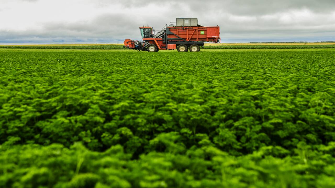L'OCDE conseille de réorienter les subventions à l'agriculture vers le climat