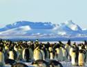 En Antarctique, 2014 fut une année charnière et on ne sait pas pourquoi