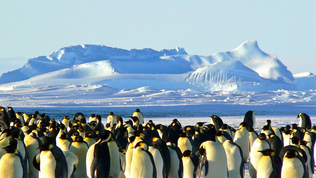 En Antarctique, 2014 fut une année charnière et on ne sait pas pourquoi