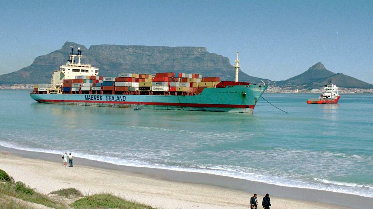 Des manchots englués dans du pétrole en Afrique du Sud : le soutage des navires en question