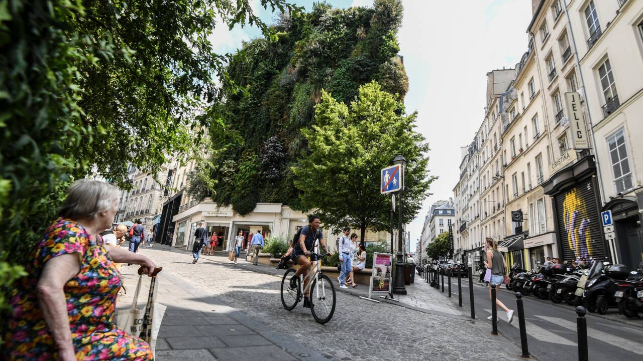 Des arbres pour sauver Paris du réchauffement ?