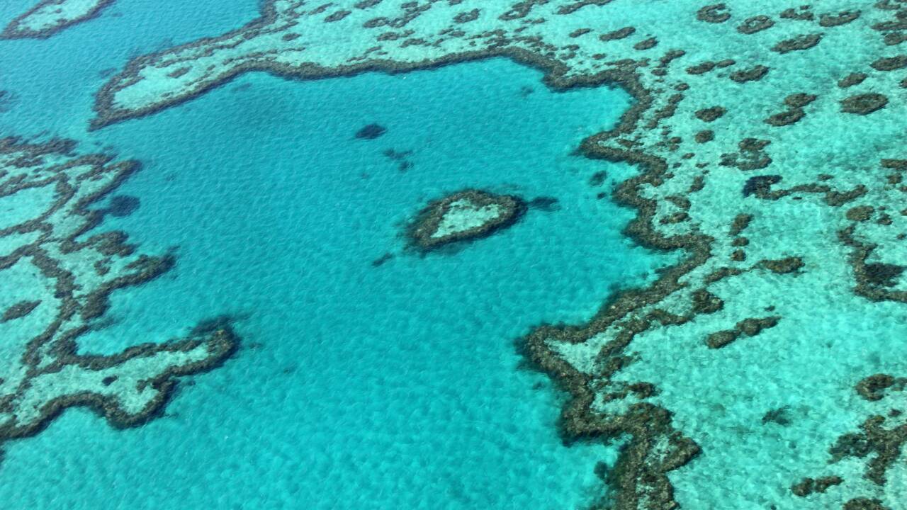 L'Autorité de la Grande barrière de corail veut des mesures contre le changement climatique