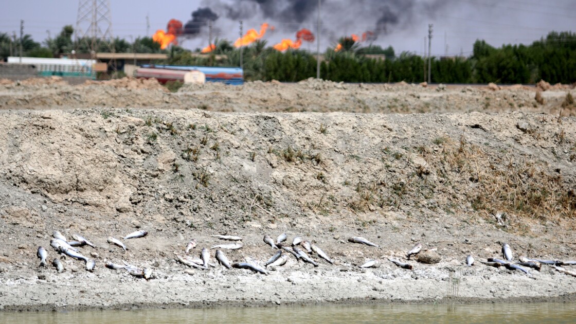 Irak Bassora Risque De Subir Une Nouvelle Crise De Leau