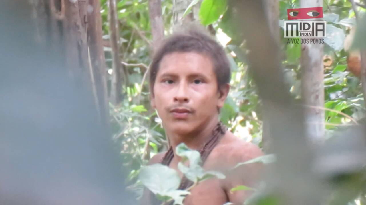Une ONG dévoile de rares images des Awá, l'une des tribus isolées les plus menacées d'Amazonie