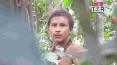 Une ONG dévoile de rares images des Awá, l'une des tribus isolées les plus menacées d'Amazonie