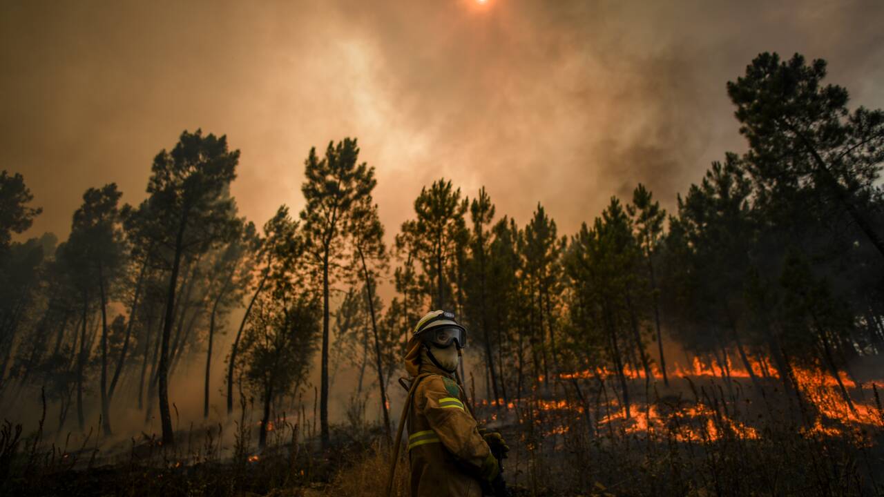 Les pompiers viennent à bout d'un important feu de forêts au Portugal