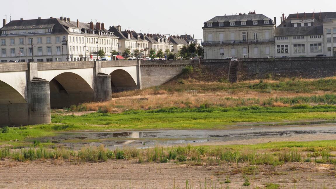 Dans la vallée d'Authion, l'irrigation des cultures menacée par une Loire trop basse