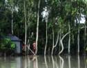Bangladesh : plus de cent morts du fait de la mousson