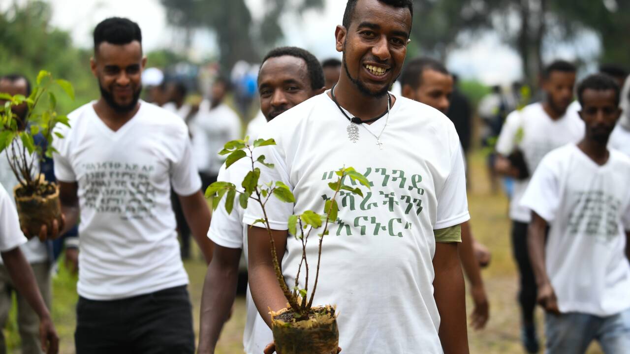 L'Ethiopie, à l'heure de l'écologie, veut planter 4 milliards d'arbres