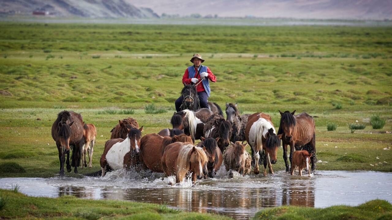 Randonnées à cheval : trois chevauchées fantastiques à vivre en Mongolie
