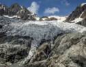 Hautes-Alpes : ainsi fond fond fond... le glacier Blanc des Ecrins