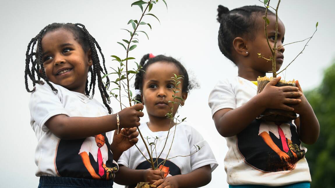 L'Ethiopie, à l'heure de l'écologie, veut planter 4 milliards d'arbres