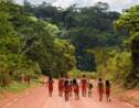 Brésil: la cour suprême annule un décret de Bolsonaro sur les terres indigènes